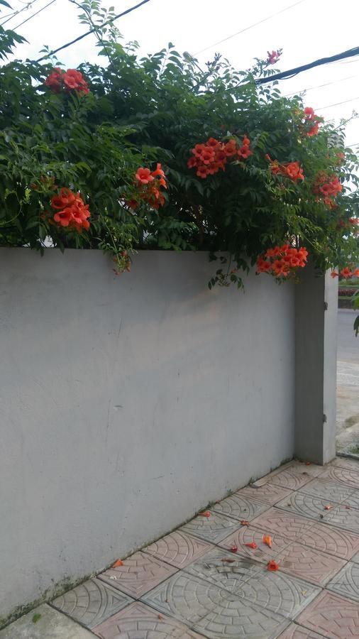 Hoang Dat Hotel Dong Hoi Dış mekan fotoğraf
